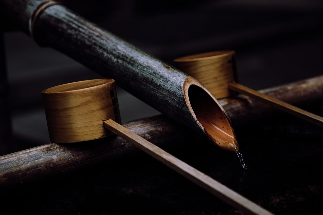 image of bamboo as abackground of the offer